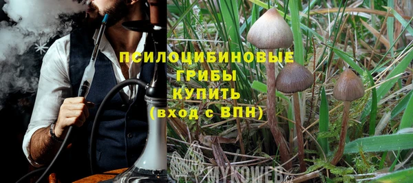 твердый Нефтегорск