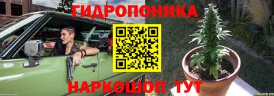 мдма Гусев