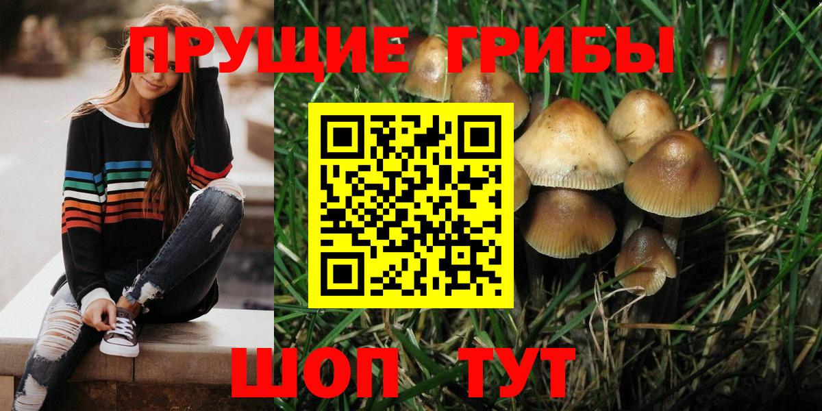 Ижевск  купить закладку  Вход с VPN  Галлюциногенные грибы Psilocybine cubensis 