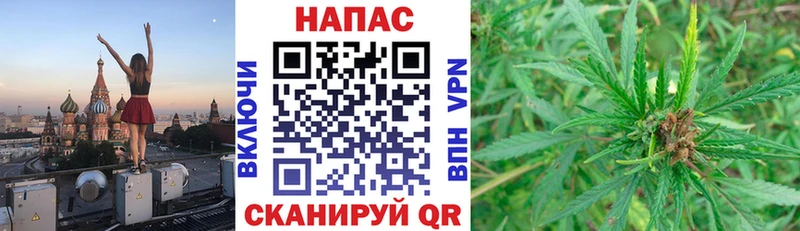 Каннабис ГИДРОПОН Ижевск